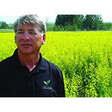 Robert Saik