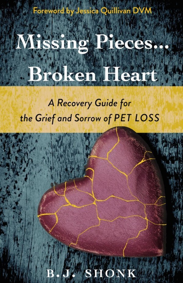 Missing Pieces...Broken Heart
